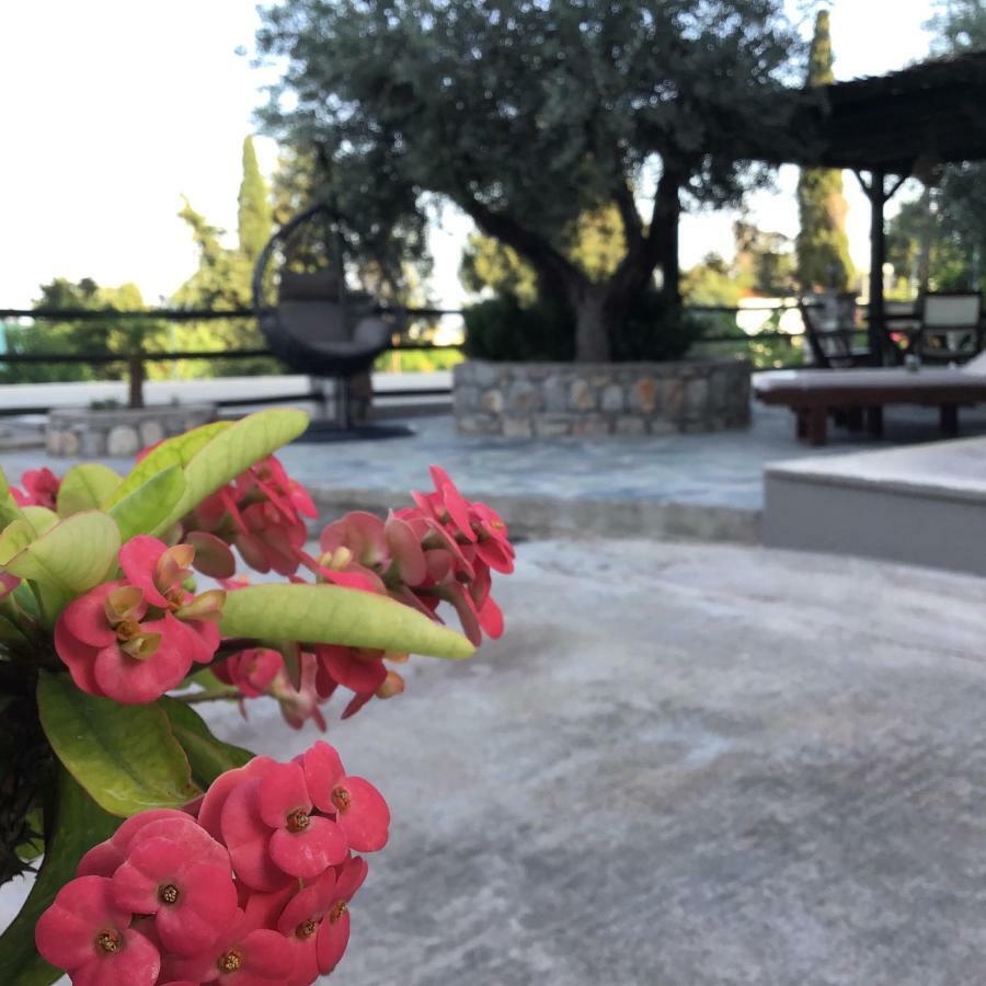 Fiore Di Flora Archangelos  Buitenkant foto